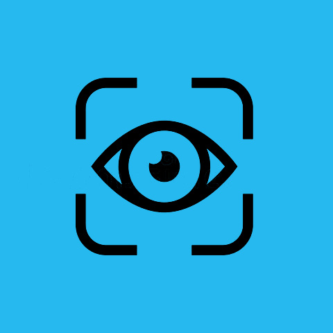 Vision
